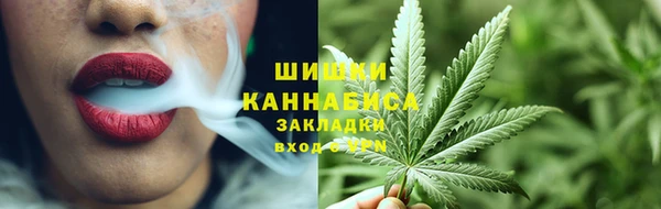 крисы Бугульма