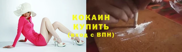 спиды Бородино