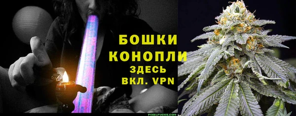 крисы Бугульма