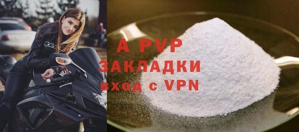 спиды Бородино