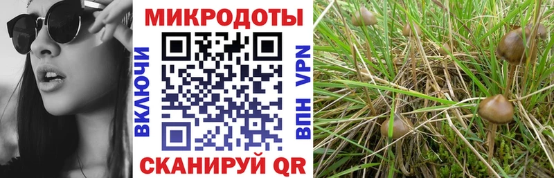 где можно купить наркотик  Верхняя Салда  Псилоцибиновые грибы мухоморы 
