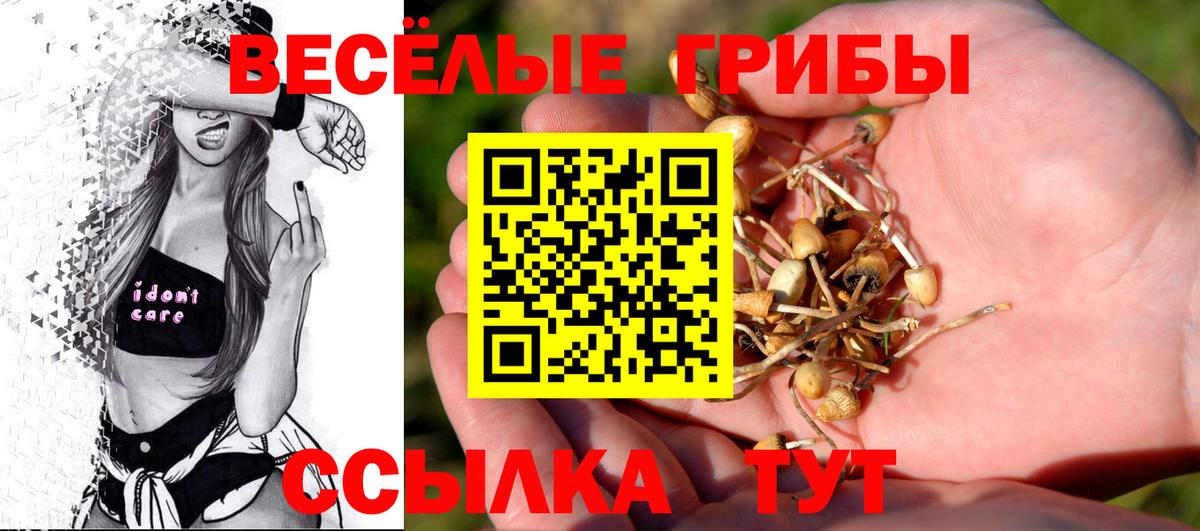 Галлюциногенные грибы GOLDEN TEACHER Верхняя Салда